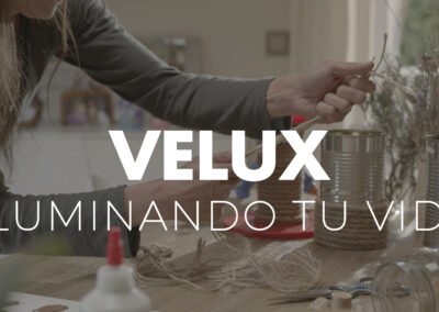 VELUX
